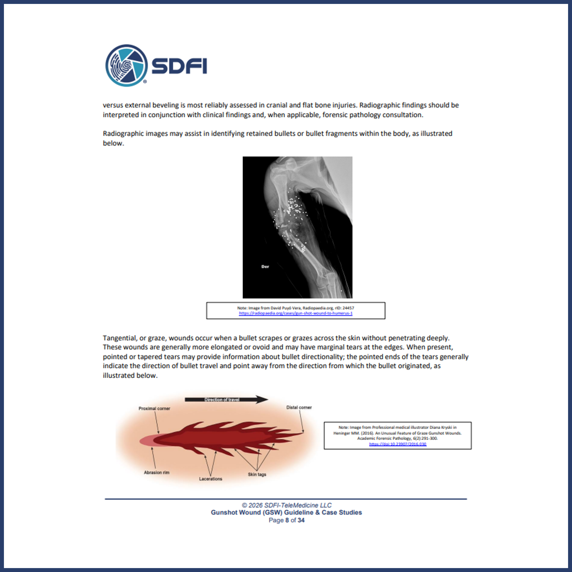 Gunshot Wounds Supplemental Guideline